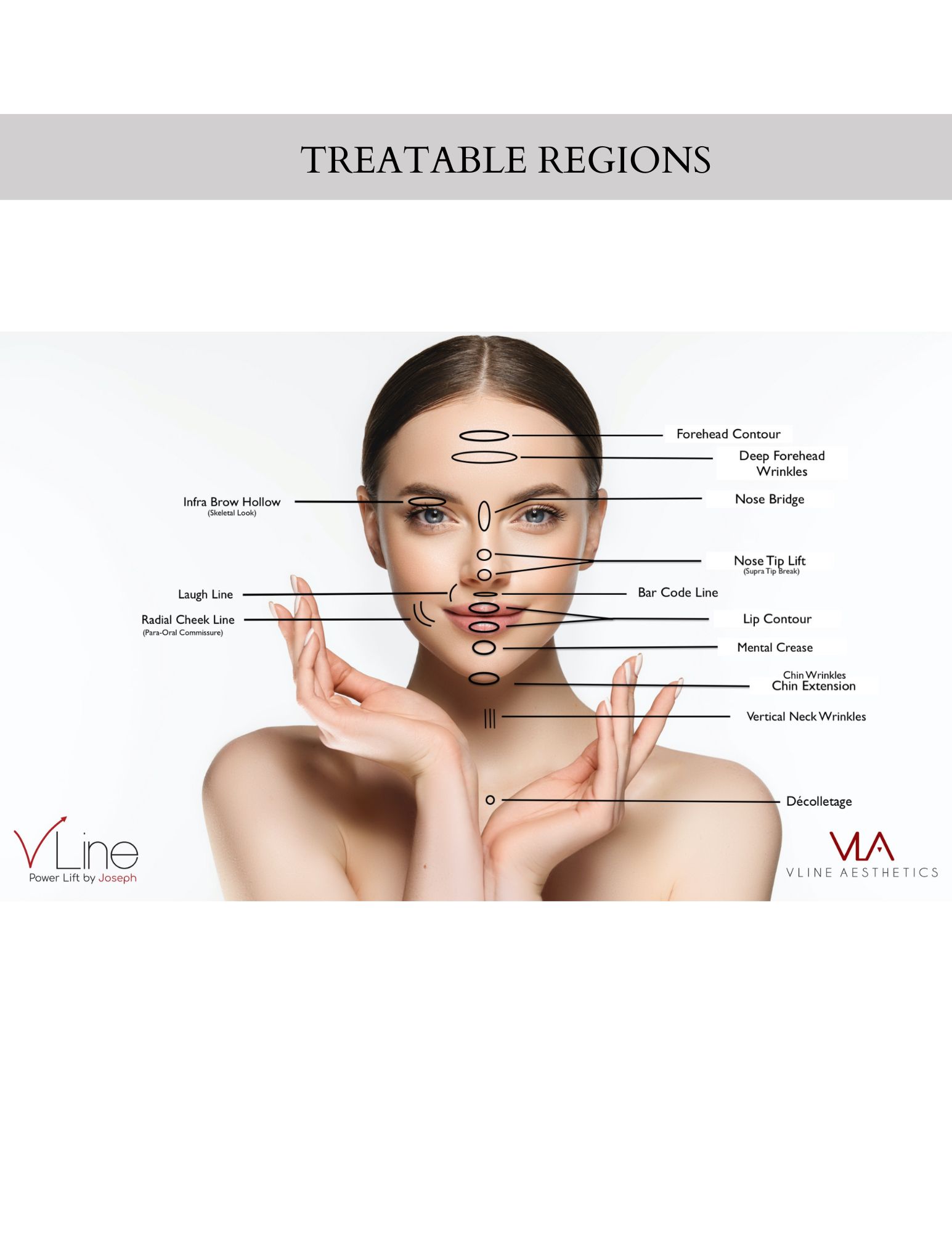 Anatomy Book 1 V LINE AESTHETICS