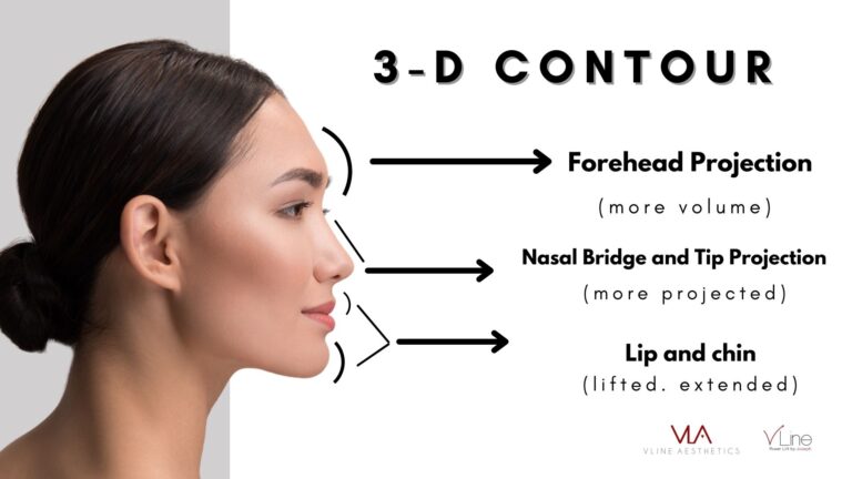 facial contour guide